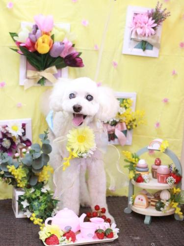 20230307エフくん